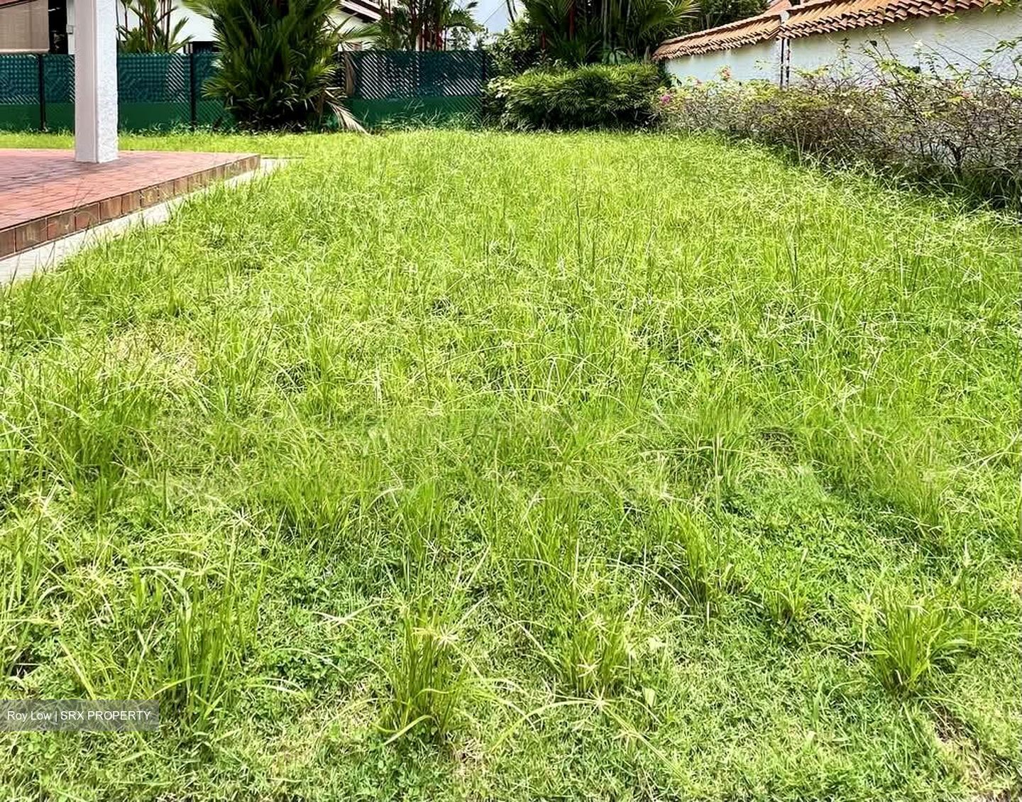 Raffles Park (D11), Detached #610247421